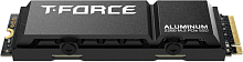 Накопитель SSD 1Tb Team T-Force G70 Pro Aluminum Heatsink (TM8FFH001T0C128)